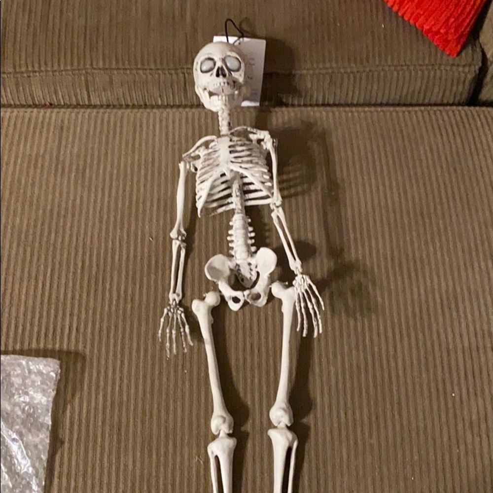 Light up skull/skeleton